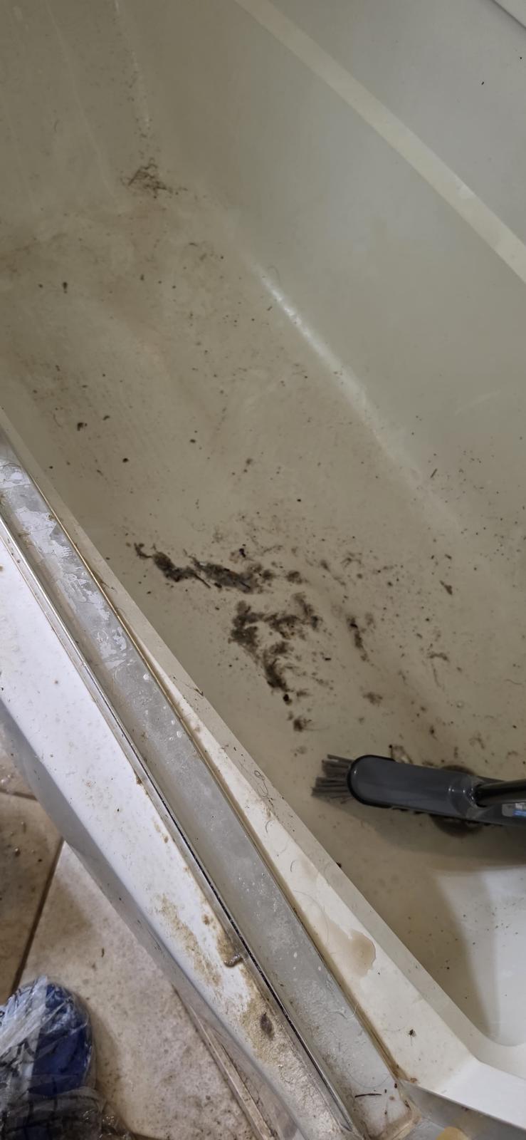 Before cleaning